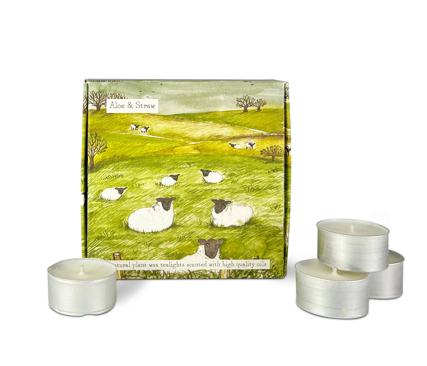 IIlustrated Box of 9 Scented Country Life Tea Lights Aloe & Straw (Sheep)