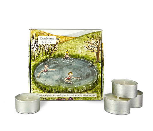 IIlustrated Box of 9 Scented Country Life Tea Lights Eucalyptus & Cedar (Wild Swimming)